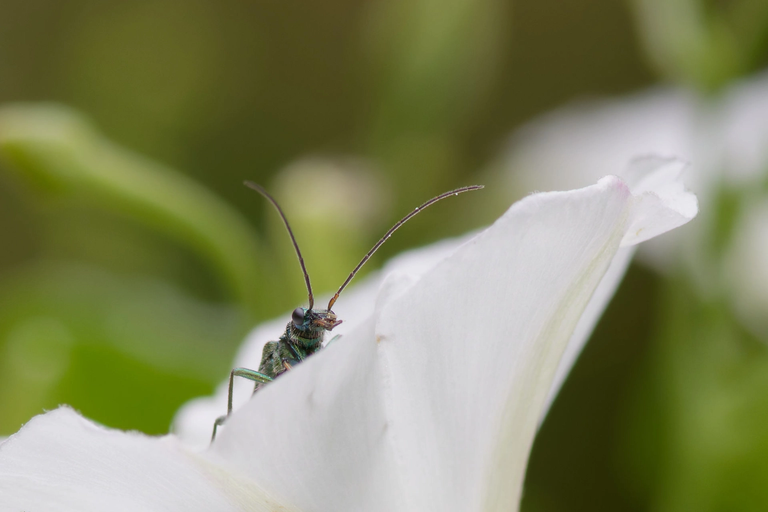 Ouvrir les yeux - image 1